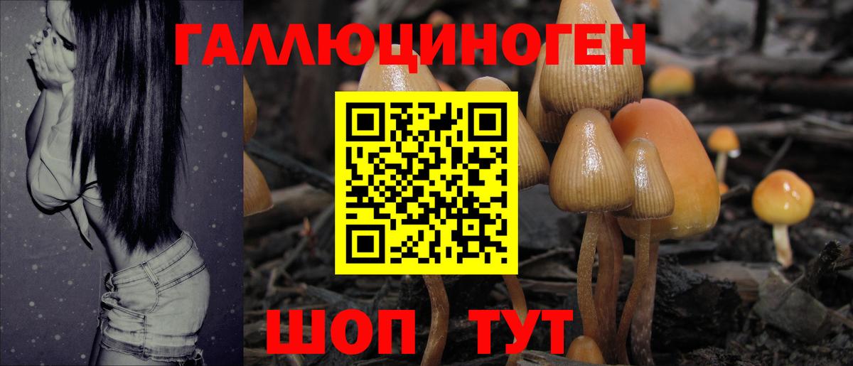 Хасавюрт  Псилоцибиновые грибы GOLDEN TEACHER  Галлюциногенные грибы Psilocybe  Вход с VPN 